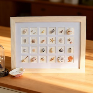 Peut inclure: Un cadre en bois clair contenant une grille de vingt-quatre compartiments individuels, chacun présentant un petit coquillage ou une étoile de mer unique. À côté du cadre se trouve une cloche en verre sur socle en bois sombre, abritant un papillon blanc.