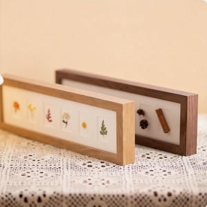 Botanischer Gitter-Schaurahmen, 6-Slot-Schattenbox für Naturkollektionen, Muschelrahmen