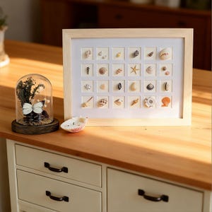 Framed Coastal Shell Art,Seashell Art,Beach Home Decor