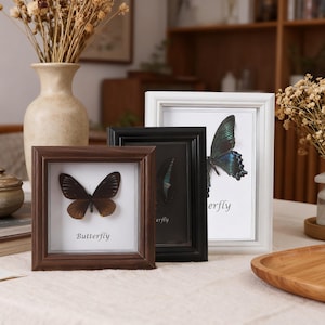 May include: Three framed butterfly displays. The frames are brown, black, and white. The brown frame has a brown butterfly with the word "Butterfly" below it. The black frame has a partial butterfly. The white frame has a blue and green butterfly.