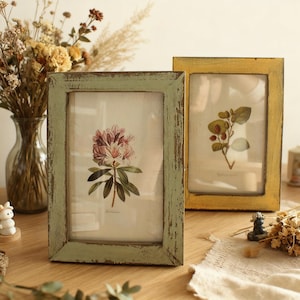 Può includere: Due cornici rettangolari con stampe botaniche. Una cornice è dipinta in verde anticato, l'altra in oro. Le stampe presentano illustrazioni dettagliate di fiori e fogliame. Le cornici sono esposte su una superficie di legno.