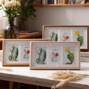 Può includere: Tre cornici in legno con finitura in legno chiaro. Ogni cornice contiene tre immagini di illustrazioni di cactus ad acquerello con fiori e frutti. Le cornici sono disposte su una superficie bianca.