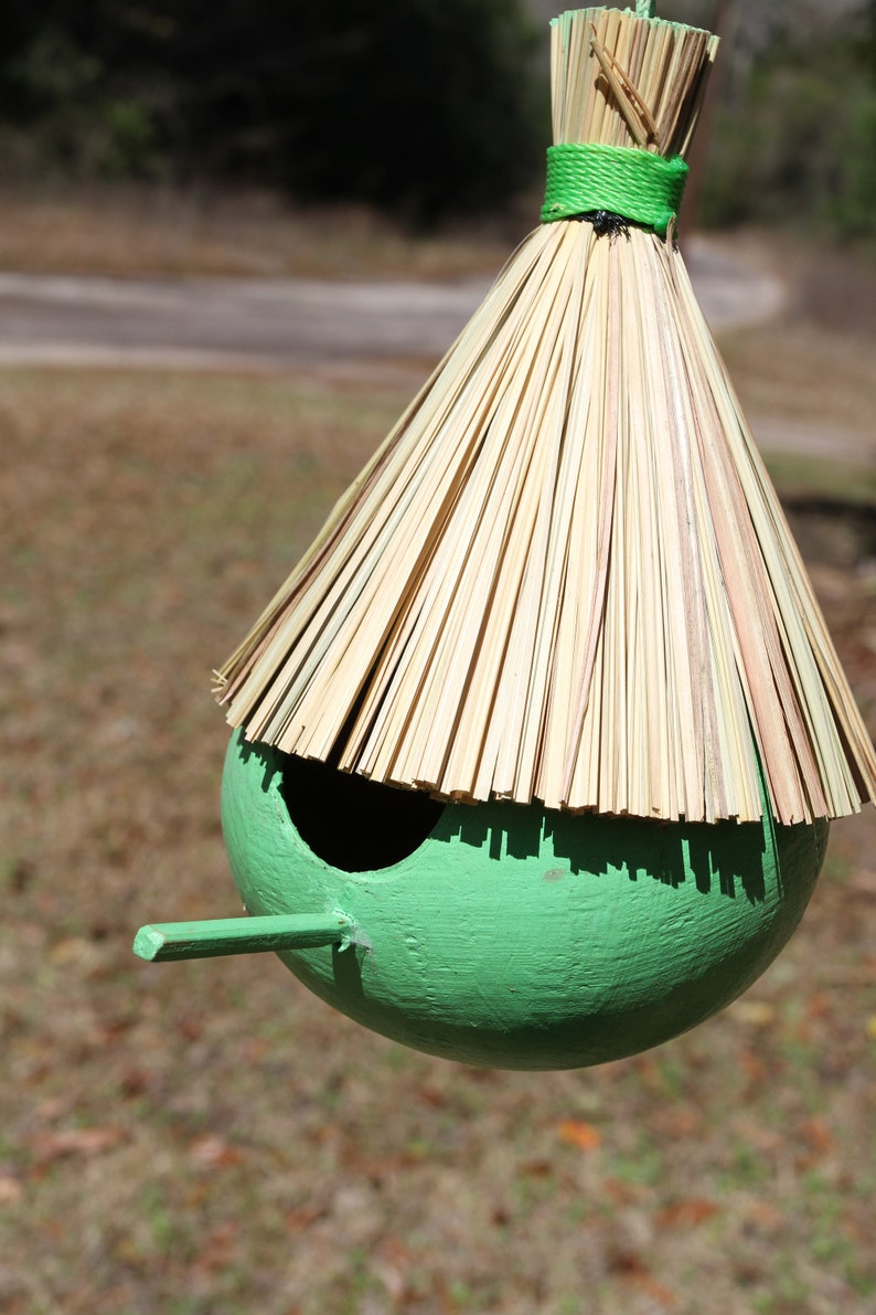 Easter Green Coconut Tiki Birdhouse Hot Pink Free Ship Tropical Yard Decor