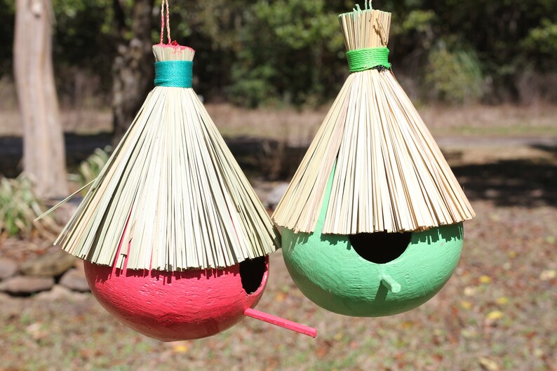 Easter Green Coconut Tiki Birdhouse Hot Pink Free Ship Tropical Yard Decor