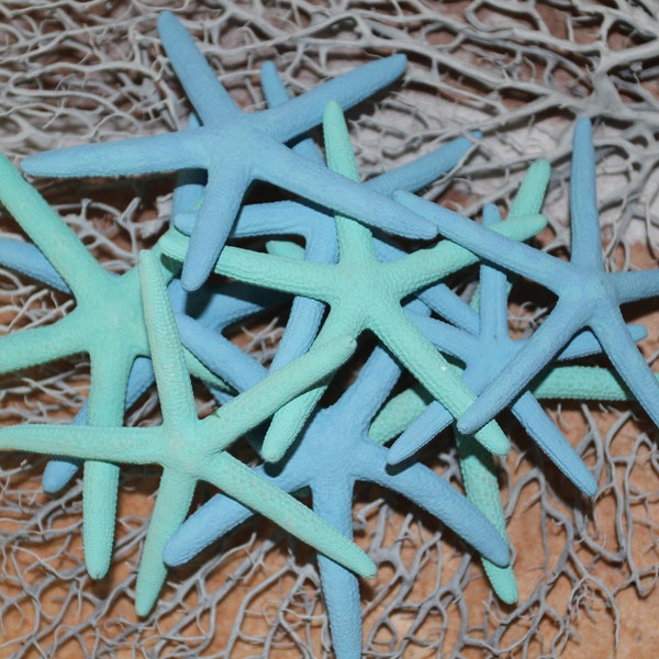 10pc) 3"- 4" Preserved Painted Starfish, Mixed Green Seafoam And Blue Seafoam , Craft Supply, Free Ship