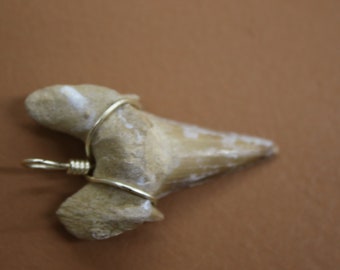 Real Silver Wire Wrapped Shark Tooth Fossil,Free Ship STF#4