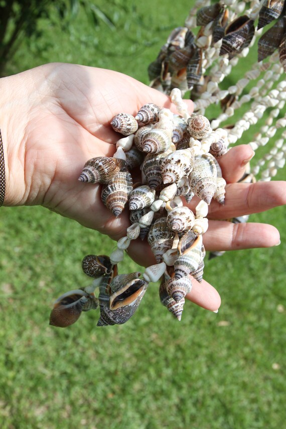 Small Chula Shell Spiral Wind Chime Balcony Decor Free Ship Etsy France