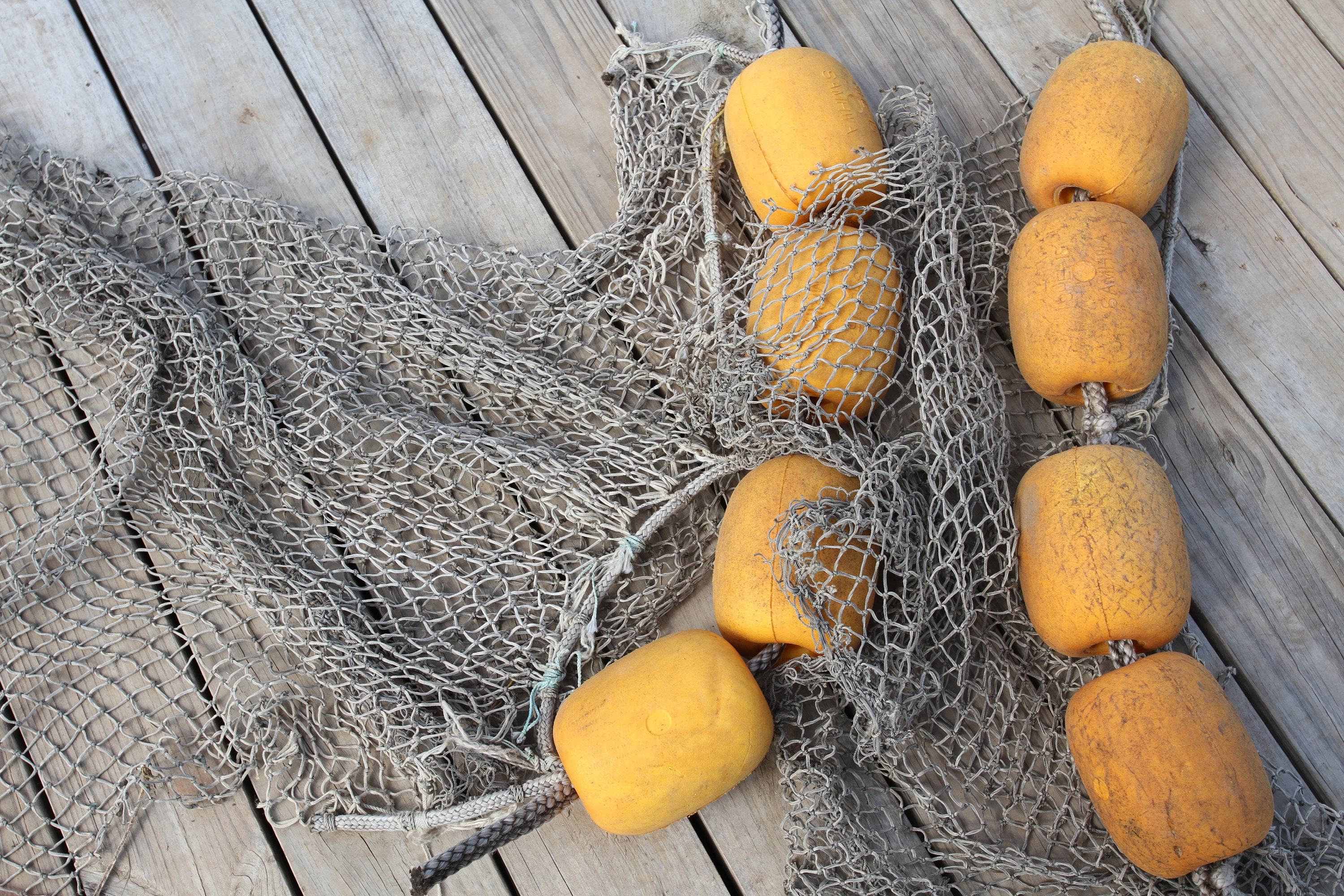 Old Fishing Net 