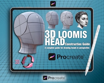 Guía de cabezas 3D de Loomis para Procreate / Referencia para la construcción de cabezas / Herramienta para dibujar retratos / Descarga digital