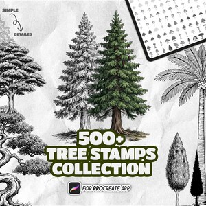 Peut inclure: Une collection numérique de plus de 500 tampons d'arbres pour l'application Procreate, présentant diverses illustrations au trait en noir et blanc, dont un palmier, un bonsaï et un pin vert détaillé avec une version en niveaux de gris.