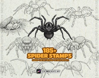 185+ Spinnen & Netz Stempel für Procreate - Realistische Designs, Vogelspinnen