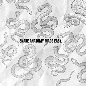 Puede incluir: Una ilustraci&oacute;n de arte lineal en blanco y negro que muestra varias serpientes en diversas posiciones enroscadas sobre un fondo de papel texturizado. El texto SNAKE ANATOMY MADE EASY est&aacute; impreso en el centro en una fuente negrita, negra y sin remates.