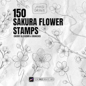 May include: A digital collection of 150 Sakura flower stamps featuring black line art illustrations of cherry blossoms and branches on a textured white background. The text reads 150 SAKURA FLOWER STAMPS, HAND DRAWN, CHERRY BLOSSOMS & BRANCHES, FOR PROCREATE APP.