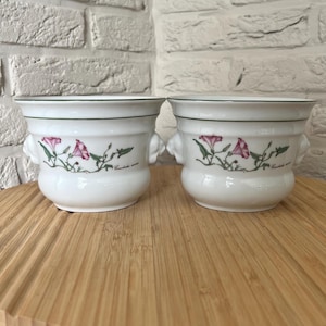 Könnte beinhalten: Zwei weiße Keramikübertöpfe mit bauchigem Körper und ausgestelltem Rand. Jeder Übertopf hat einen grünen Randstreifen sowie eine botanische Illustration von rosa Windenblüten mit grünen Blättern und dem Schriftzug Convolvulus arvensis.