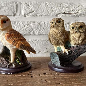 May include: Two owl figurines. One is a barn owl with white and brown feathers, perched on a small, dark brown base. The other is a pair of smaller owls with brown feathers, sitting on a log-shaped base. Both are decorative.