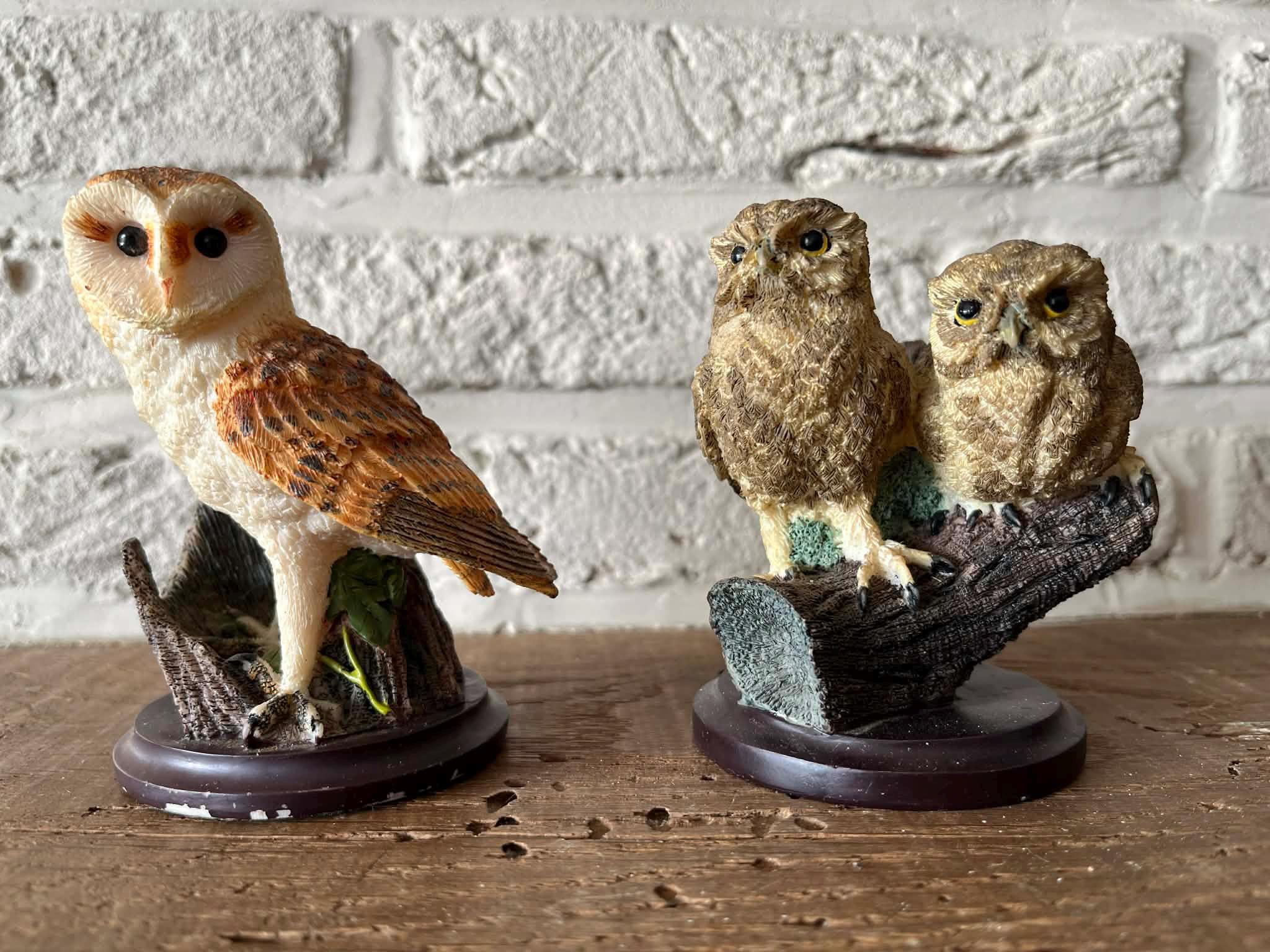 Country Artists Owls - Etsy UK