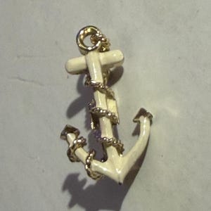 May include: A gold-coloured anchor pin with a white enamel finish. The anchor is wrapped with a gold-coloured rope. The pin has a nautical theme.