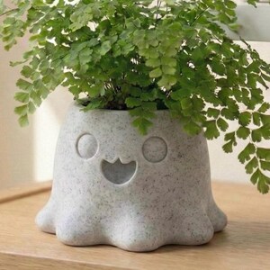Nubla Cute Planter Pot – Adorable Modern Indoor Decorative Plant Pot