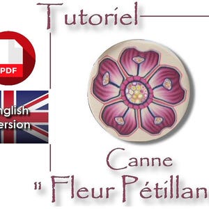 Tutorial / PDF English : Cane 'Sparkling flower' with Polymer Clay