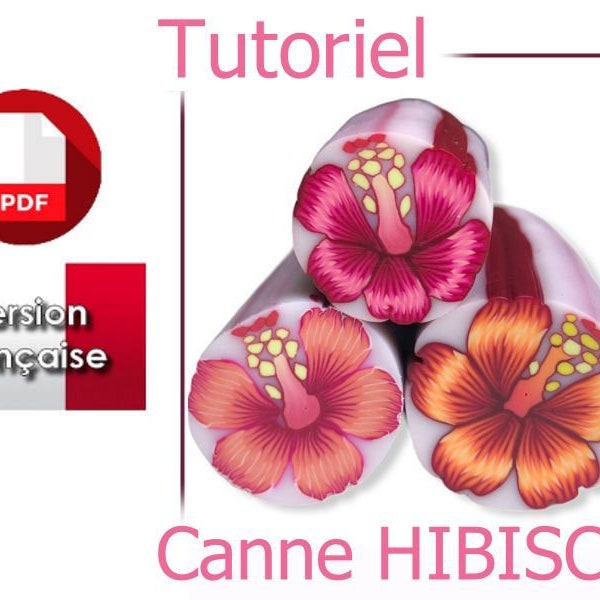 Tutoriel PDF en français : Réaliser une canne 'Hibiscus' en pâte polymère