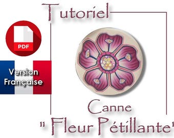 Tutoriel PDF en français : Réaliser une canne 'fleur pétillante' en pâte polymère