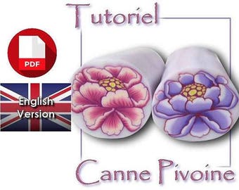 Tutorial / PDF English : Cane 'Peony flower' with Polymer Clay