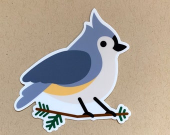 May include: A blue and white bird with a yellow belly perched on a green branch. The bird has a black eye and a black beak.