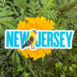 Adesivo de vinil para pássaros do estado do pintassilgo americano de Nova Jersey