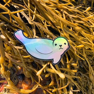 May include: A holographic sticker of a cartoon seal with a light blue body and a green head. The seal is lying on its belly with its flippers outstretched. The sticker is on a background of brown seaweed.