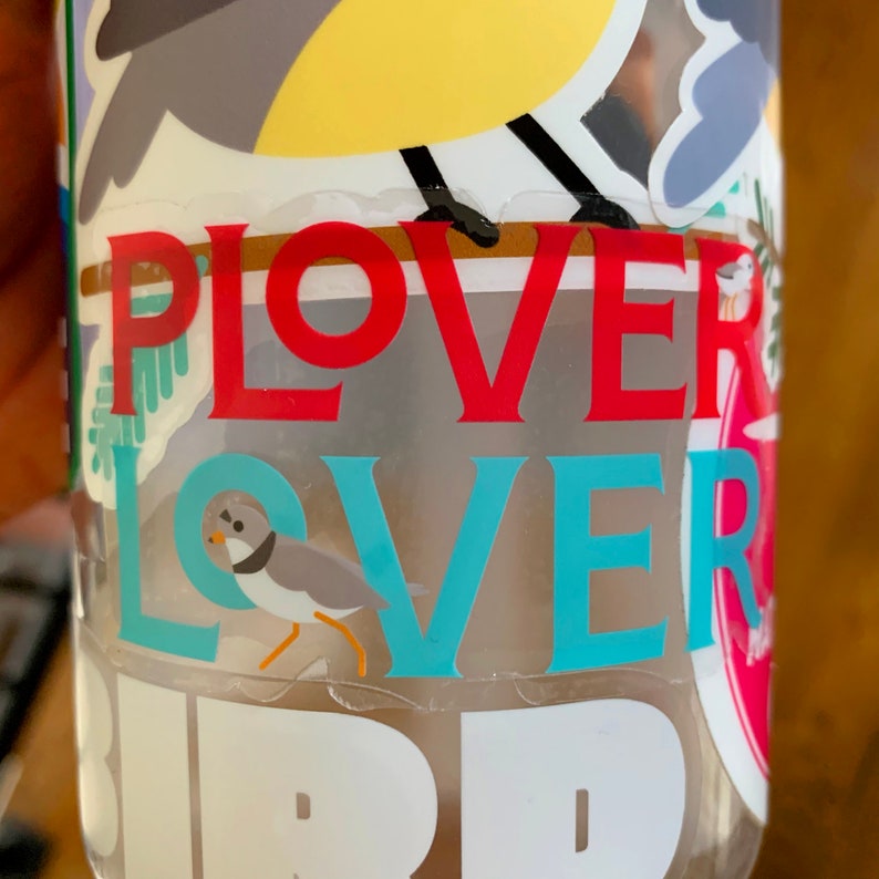 Plover Lover: Piping Plover sticker 3 inch image 4