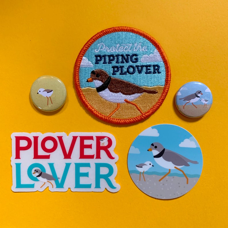 Plover Lover: Piping Plover sticker 3 inch image 5
