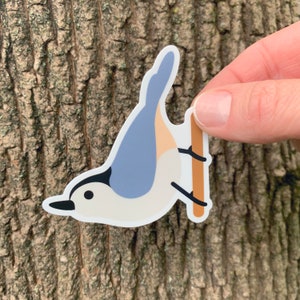 Nuthatch vinyl sticker 2.5 inch image 1