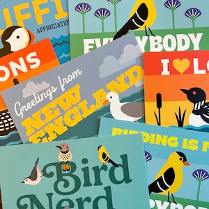 Fatbird Postcards (6x4)