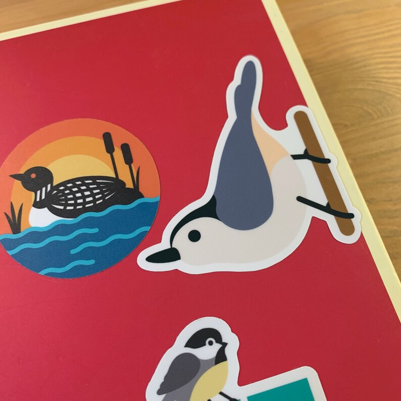 Nuthatch vinyl sticker 2.5 inch image 4