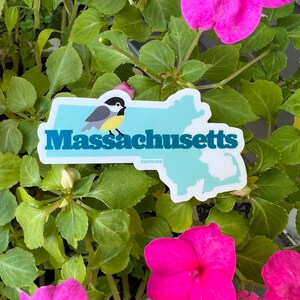 Adesivo de vinil Massachusetts Chickadee State Bird (3 polegadas)