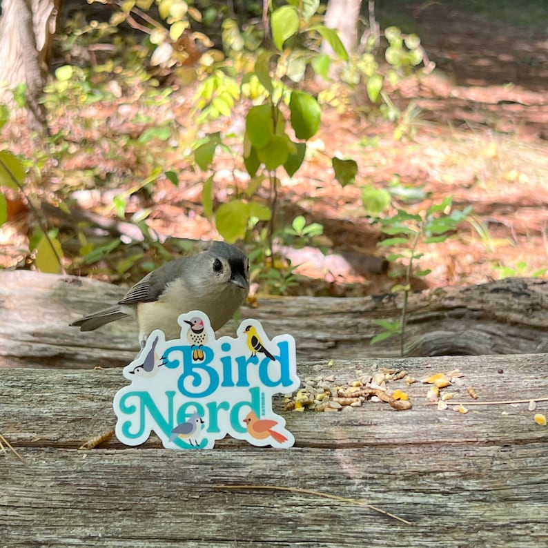 Bird Nerd vinyl sticker image 3
