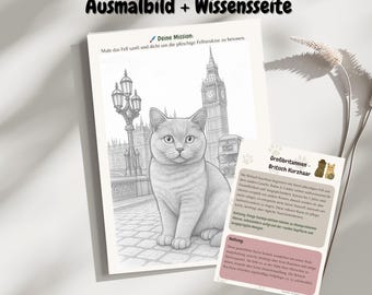 Britisch Kurzhaar Ausmalbild (PDF) – Katze zum Ausmalen für Erwachsene | Katzen Ausmalbild mit Wissensseite | Digitaler Download