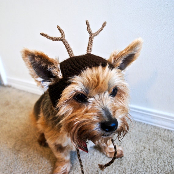 Reindeer Costume for Dogs Hand Knit Dog Hat Custom Sizing