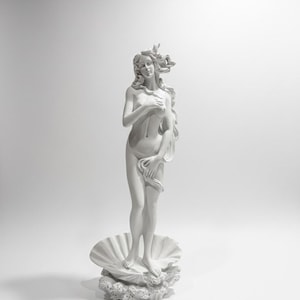 Può includere: Una scultura bianca di Venere, in piedi nuda su una base a conchiglia. La statua classica ha lunghi capelli fluenti e si copre parzialmente il corpo con le mani. La scultura è ambientata su uno sfondo bianco.