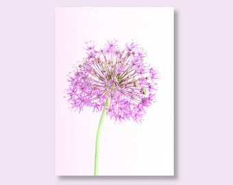 Carte d'anniversaire florale pour elle | Carte d'anniversaire féminine | Carte Allium | Carte de voeux vierge | carte de correspondance fleur | Carte d'anniversaire fleur