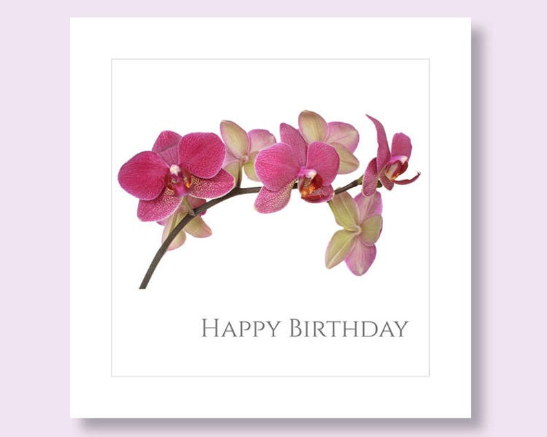 CARTE D'ANNIVERSAIRE FLEURS Carte d'anniversaire pour elle carte orchidée carte photo fleur carte d'anniversaire florale carte d'anniversaire Carte botanique image 1
