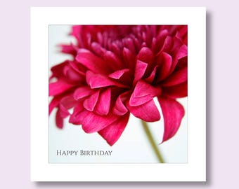 BIRTHDAY CARD | Red Chrysanthemum Card | Floral Birthday Card | Flower Birthday Card | Card for Her | Card for Mum | Card for Gardener