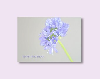 CARTE D'ANNIVERSAIRE DE FLEURS | photocarte bleue de fleur | Carte d'anniversaire florale | Carte d'anniversaire pour un ami | Carte de voeux | Carte-photo botanique