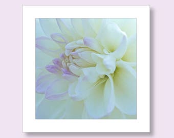 Carte d’anniversaire Dahlia | Cartes photo | Carte de fleurs | Carte de vœux photographique | Carte d’anniversaire florale pour elle | Carte d'anniversaire blanche