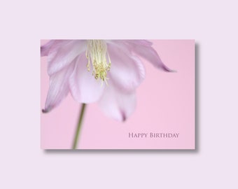 Birthday Photo Card | Aquilegia Card | Flower Birthday Card | Floral Birthday Card | Pink Card | Blank Greetings Card | Floral Card