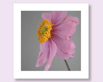 Individual Notceard | Floral Notecard | Birthday Card | Pink Birthday Card | Flower Card for Her | Thank You Card | Japanese Anemone Card