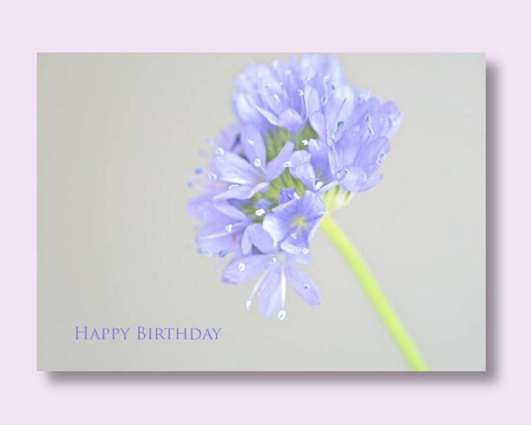 FLOWER BIRTHDAY CARD Blue Flower Photo Card Floral Etsy