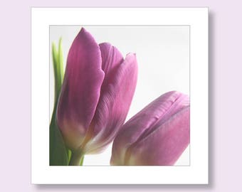 carte tulipe | pour notes florale | de correspondance de tulipes de Zazzle.be Liste d'envies Vous avez des idées ? carte d'anniversaire florale | Carte florale pour elle | Carte d'anniversaire tulipe rose | Carte vierge
