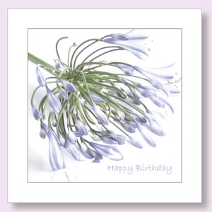 Birthday Cards for Her Female Birthday Card Floral Birthday Card Female Agapanthus Card Flower Card for Her Photographic Card image 1