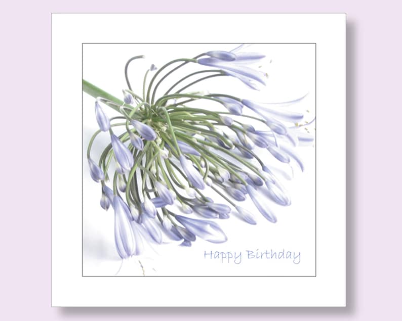 Birthday Cards for Her Female Birthday Card Floral Birthday Card Female Agapanthus Card Flower Card for Her Photographic Card Bild 1